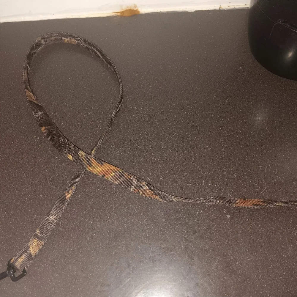 Leashes - Picture 9 of 15